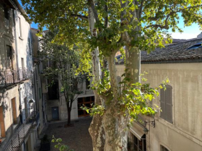 La charmante du Palais 2 chambres